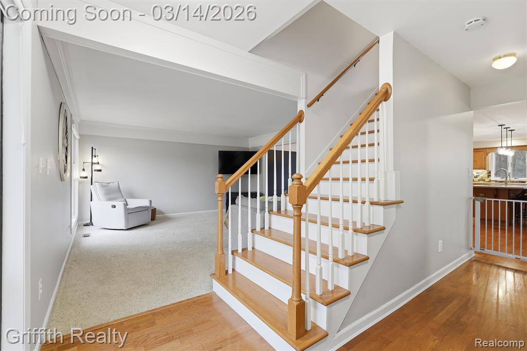 1172 Buckingham Road, Haslett, MI 48840 — Photo 12