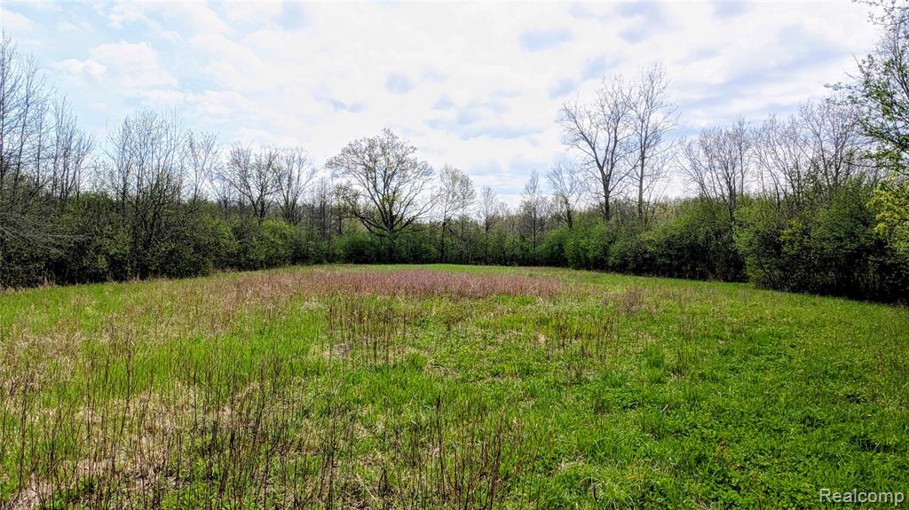 44043 Tyler Road, Belleville, MI 48111 — Photo 9