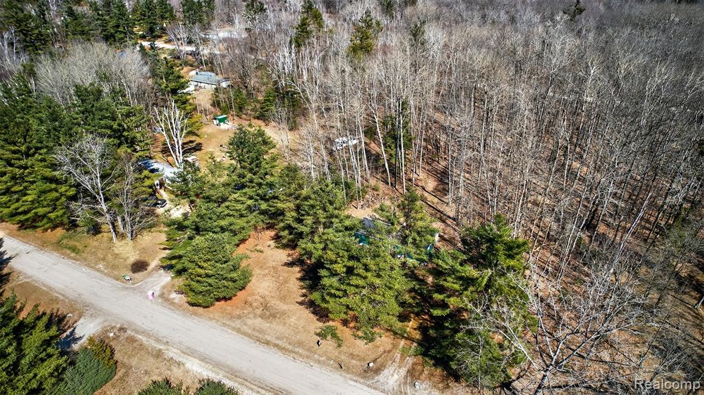 2633 S Stevens Road, Greenbush, MI 48738 — Photo 11