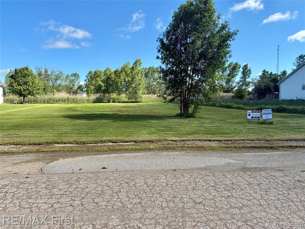 39 Deer Park, Capac, MI 48014 — Photo 4