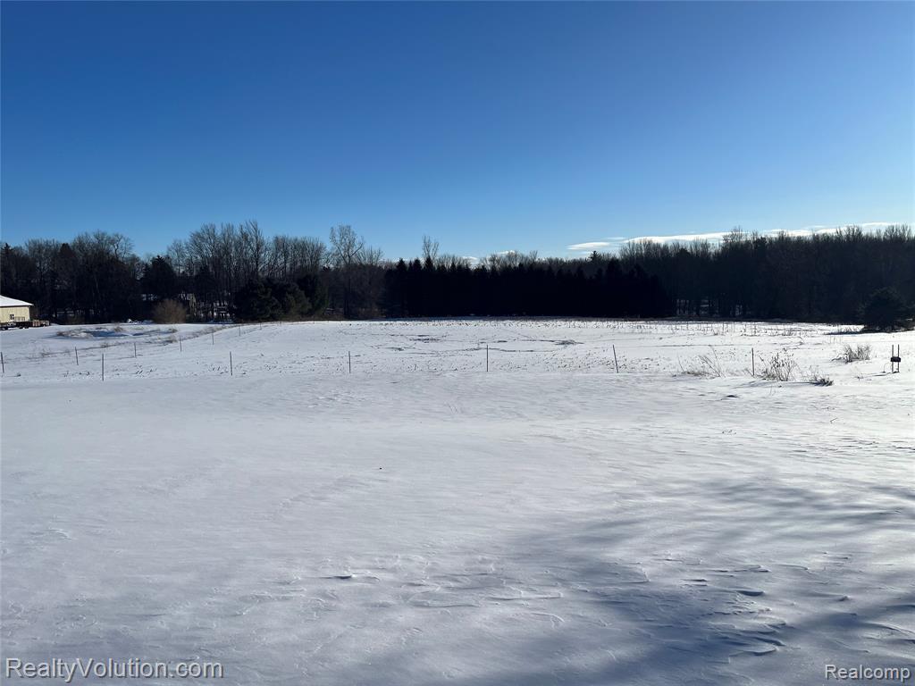 4850 Burnside Road, North Branch, MI 48461 — Photo 19