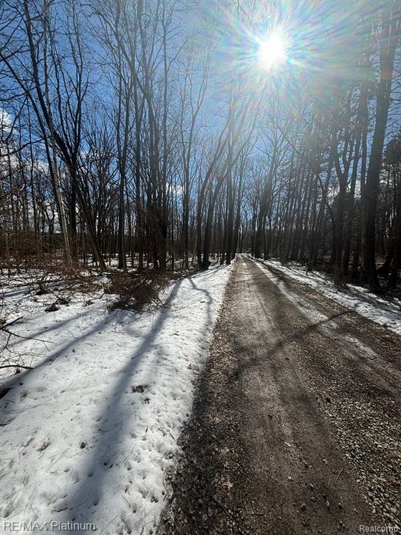 V/L TIPSICO LAKE ROAD, Holly, MI 48442 — Photo 3