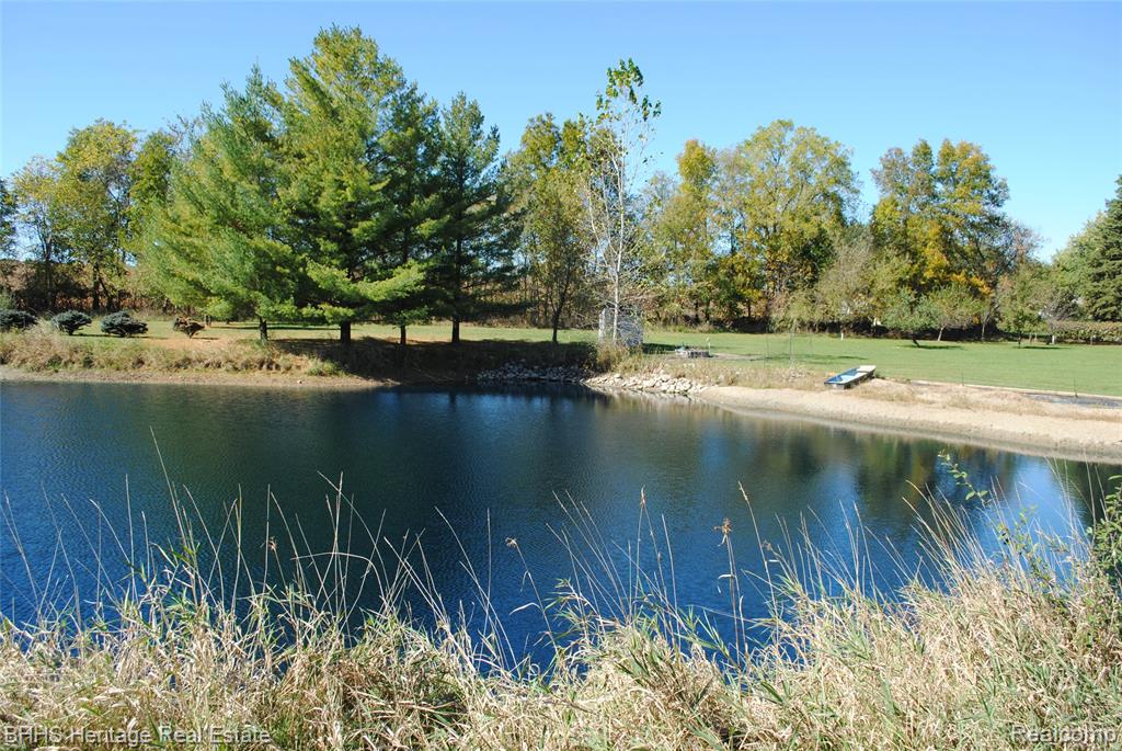 10755 Sober Road, Webberville, MI 48892 — Photo 11