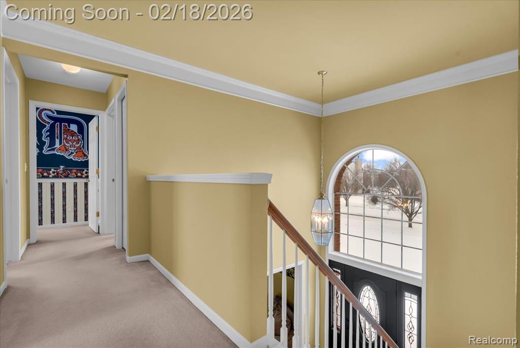 379 Springfield Drive, Canton, MI 48188 — Photo 19