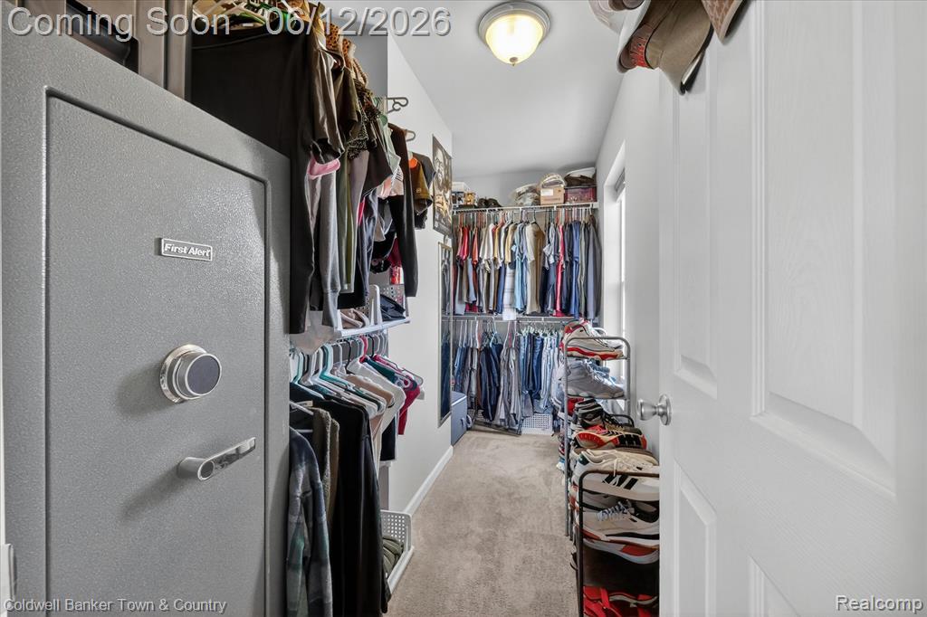 8604 Swartz River Drive, Fowlerville, MI 48836 — Photo 24