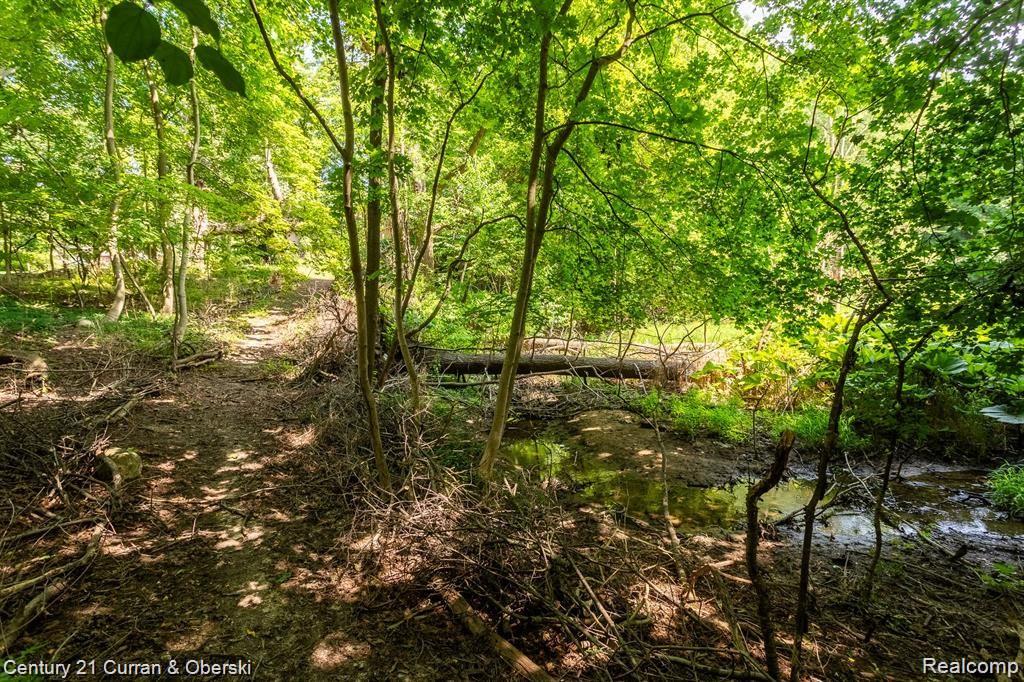 44253 CHEDWORTH Drive, Northville, MI 48167 — Photo 52