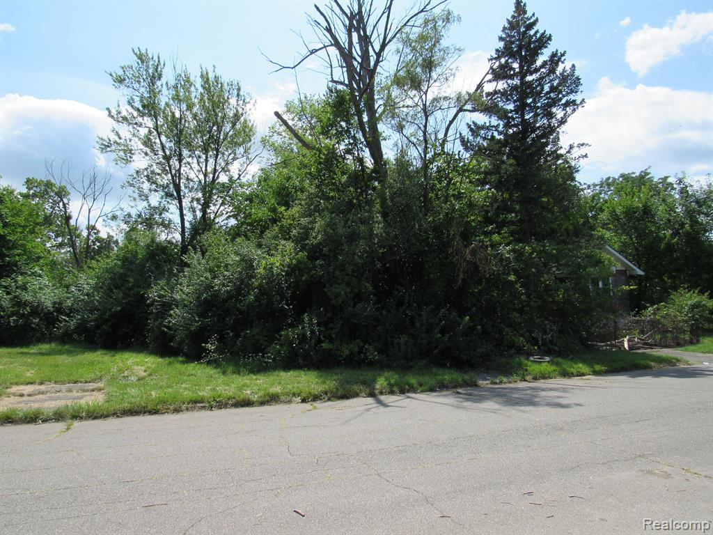 1051 Fernhill Street, Highland Park, MI 48203 — Photo 13