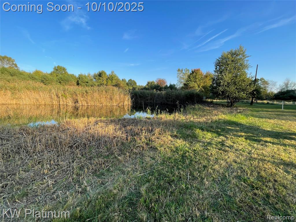 4663 Hessen Road, Casco, MI 48064 — Photo 49
