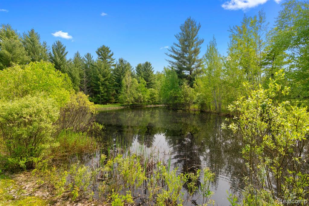 5960 N Trail SE, Kalkaska, MI 49646 — Photo 8