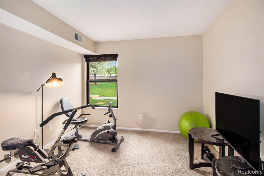 61216 GREENWOOD Drive, South Lyon, MI 48178 — Photo 16