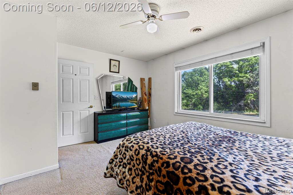 11050 Old Orchard Court, Roscommon, MI 48653 — Photo 35