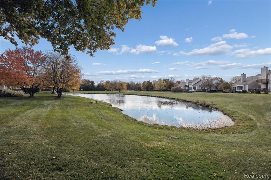 39435 Village Run Drive, Northville, MI 48168 — Photo 59