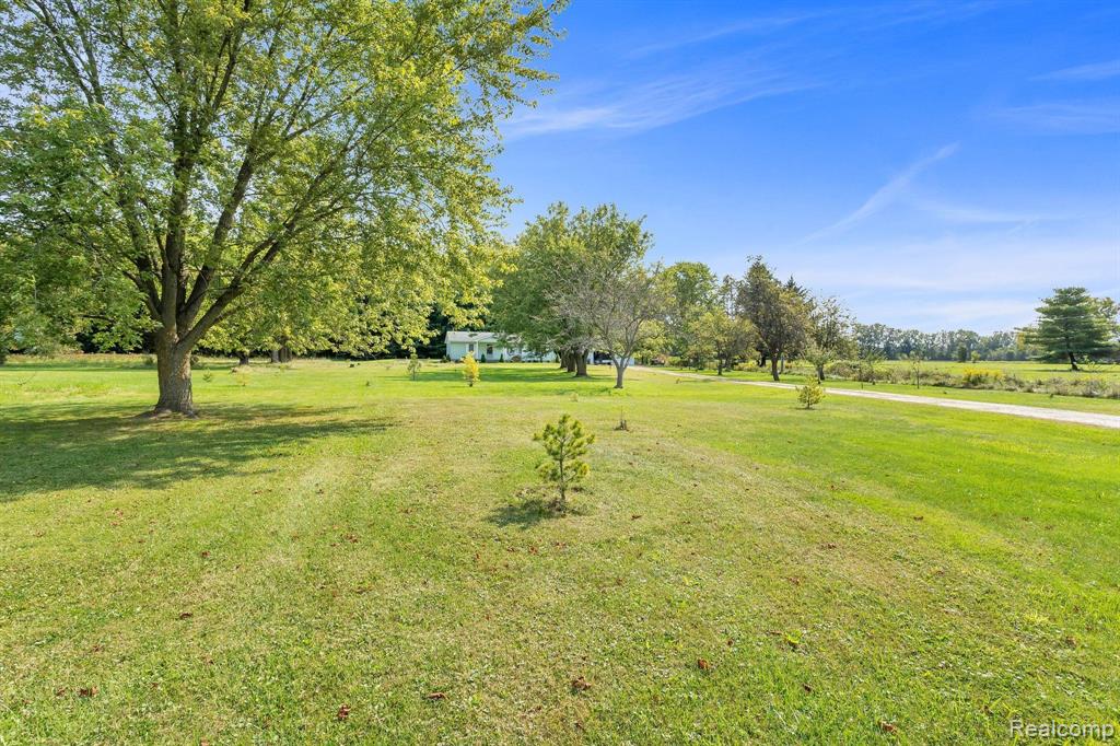 224 PALMS Road, Wales, MI — Photo 5