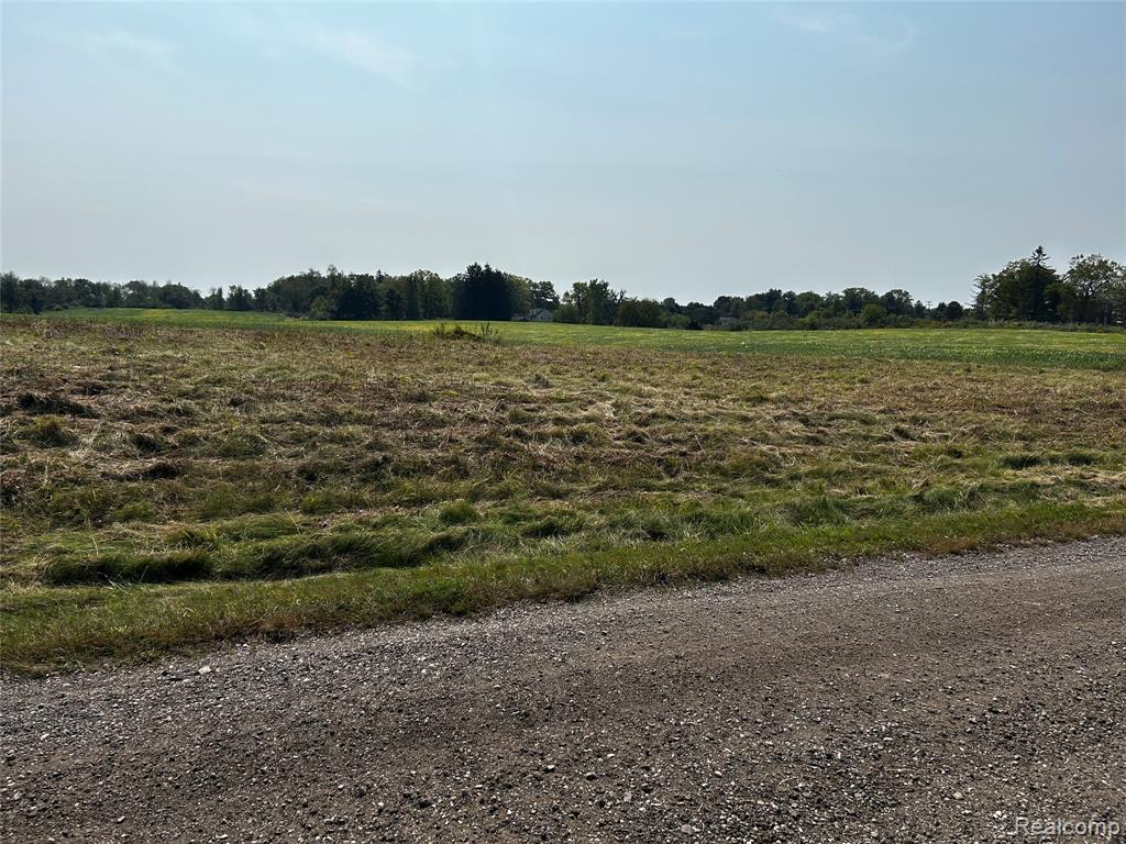 Parcel N N Hacker Road, Howell, MI 48843 — Photo 6