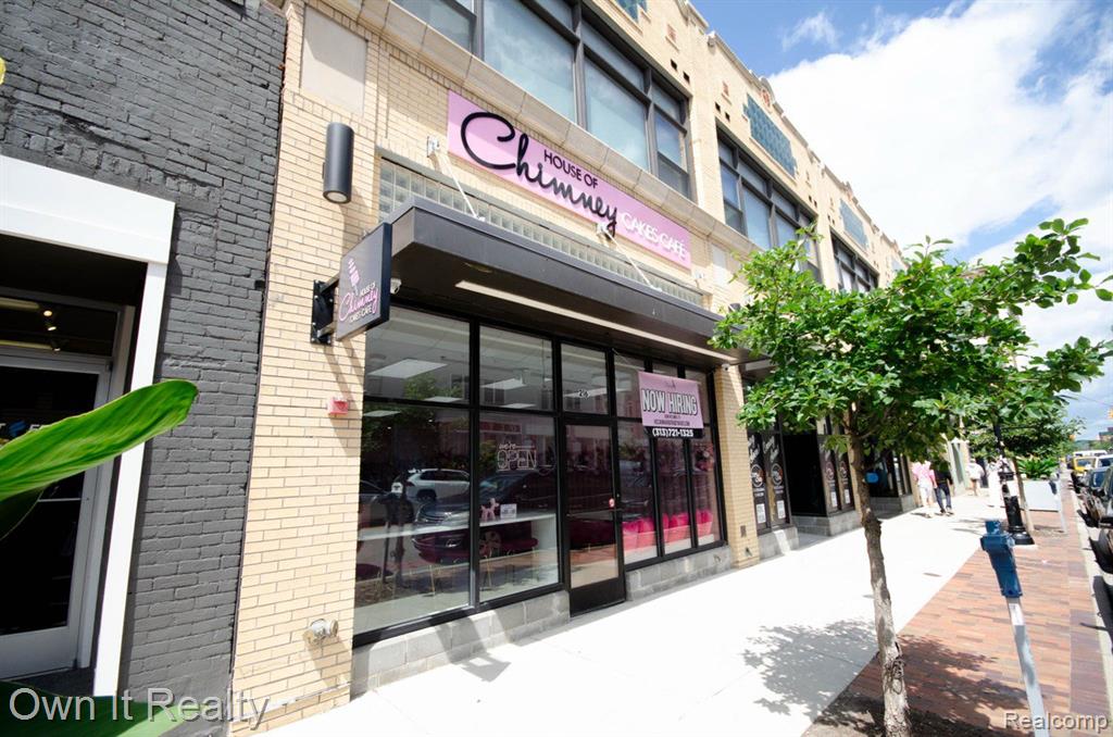 216 N 4th Avenue, Ann Arbor, MI 48104 — Photo 2