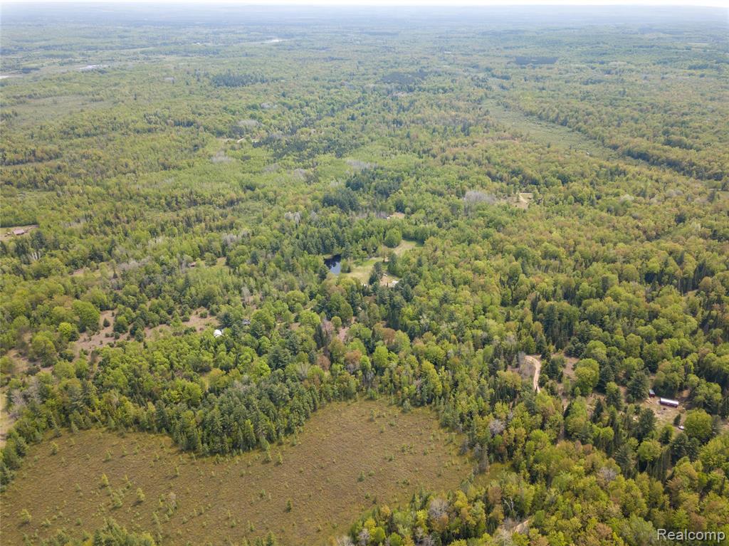 5960 N Trail SE, Kalkaska, MI 49646 — Photo 46