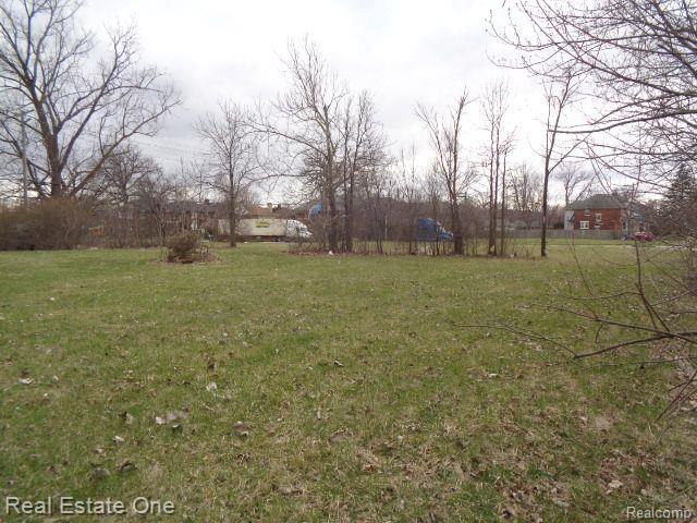 1749 COLLINGWOOD Street, Detroit, MI 48206 — Photo 3