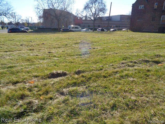 3734 W CHICAGO, Detroit, MI 48206 — Photo 4