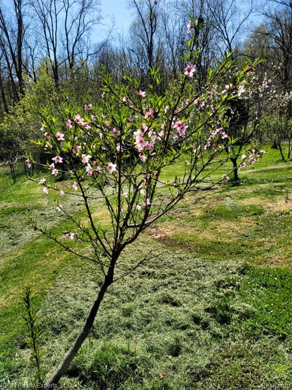6727 Napier Road, Plymouth, MI 48170 — Photo 72
