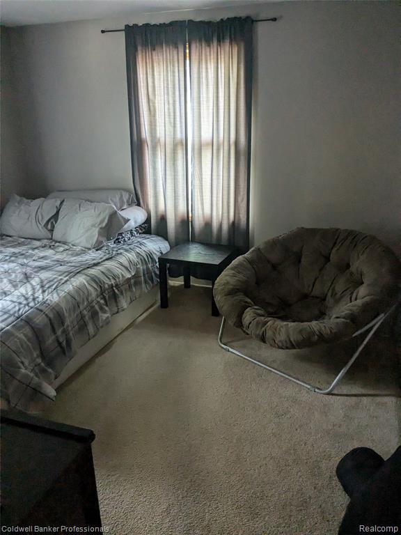 3237 Rogers Street, Marlette, MI 48453 — Photo 44