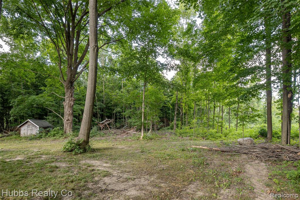 4251 E Frances Road, Mount Morris, MI 48458 — Photo 11