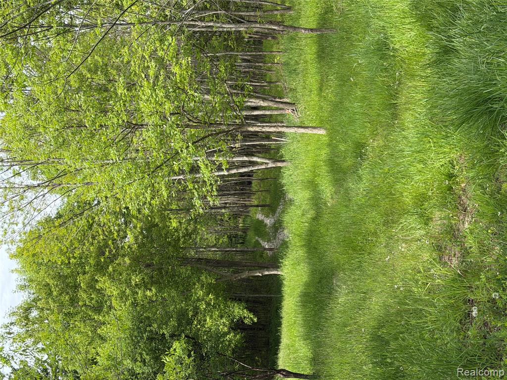 9200 Perry Road, Atlas, MI — Photo 4