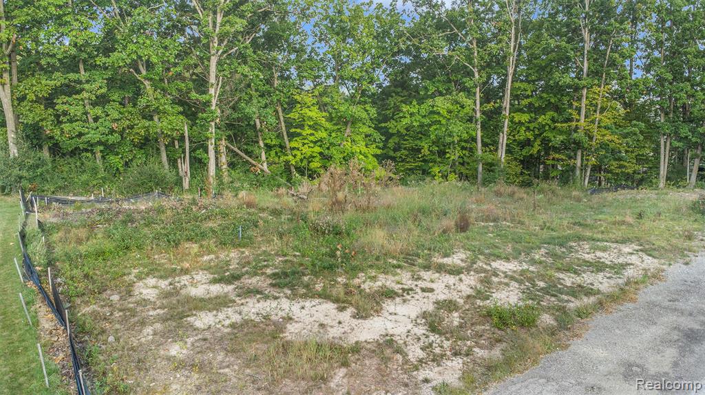 62 Preserve Drive, Fenton, MI 48430 — Photo 11