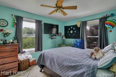 6198 EWALT Road, Imlay City, MI 48444 — Photo 24