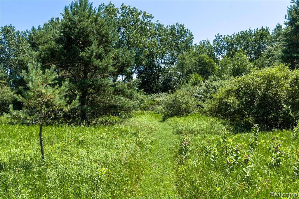 Parcel A Dodge Rd, Cass City, MI 48726 — Photo 11