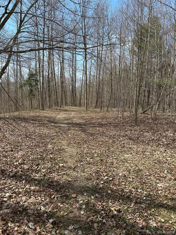 4215 JOSHUA Road, Cass City, MI 48726 — Photo 10