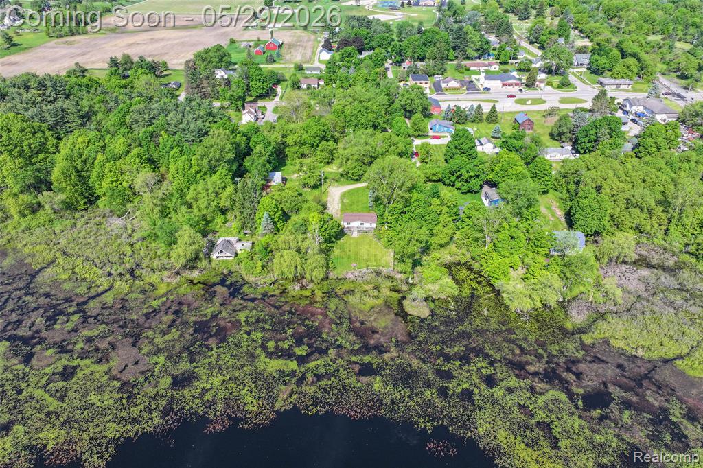 175 Mill Street, Attica, MI 48412 — Photo 28