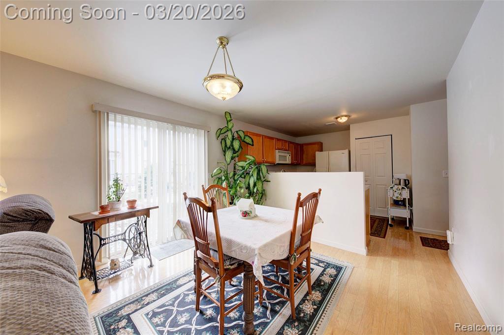 8627 Cass River Drive, Fowlerville, MI 48836 — Photo 5