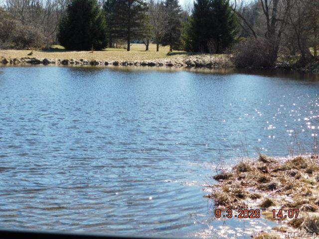3816 Five Lakes Road, North Branch, MI 48461 — Photo 13