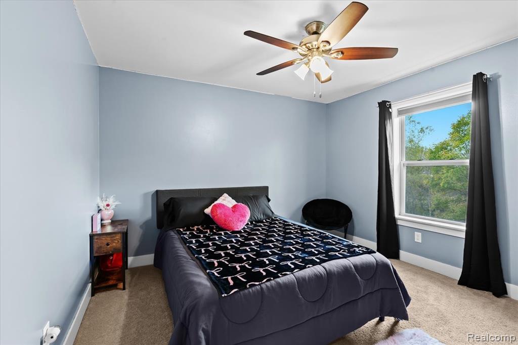 552 Hewitt Street, Howell, MI 48843 — Photo 19