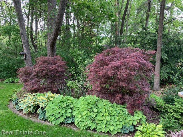 9316 LAKEBLUFF Drive, Clarkston, MI 48348 — Photo 97
