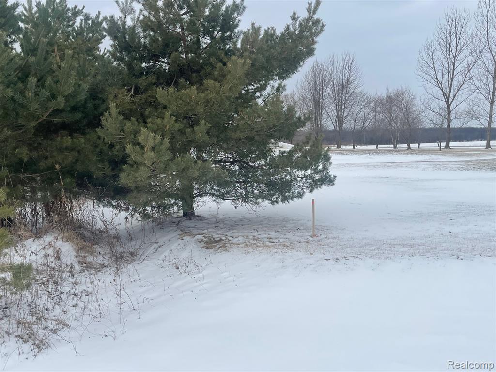 2969 Reeves Road, Riley, MI — Photo 5