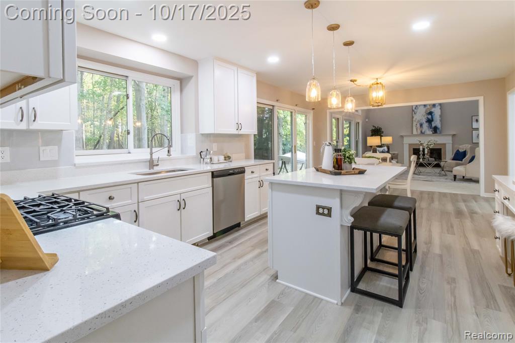 4070 Blue Heron Drive, Auburn Hills, MI 48326 — Photo 20