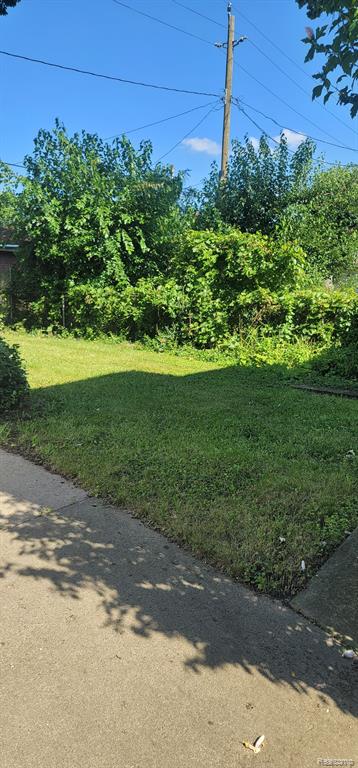3238 HELEN Street, Detroit, MI 48207 — Photo 45