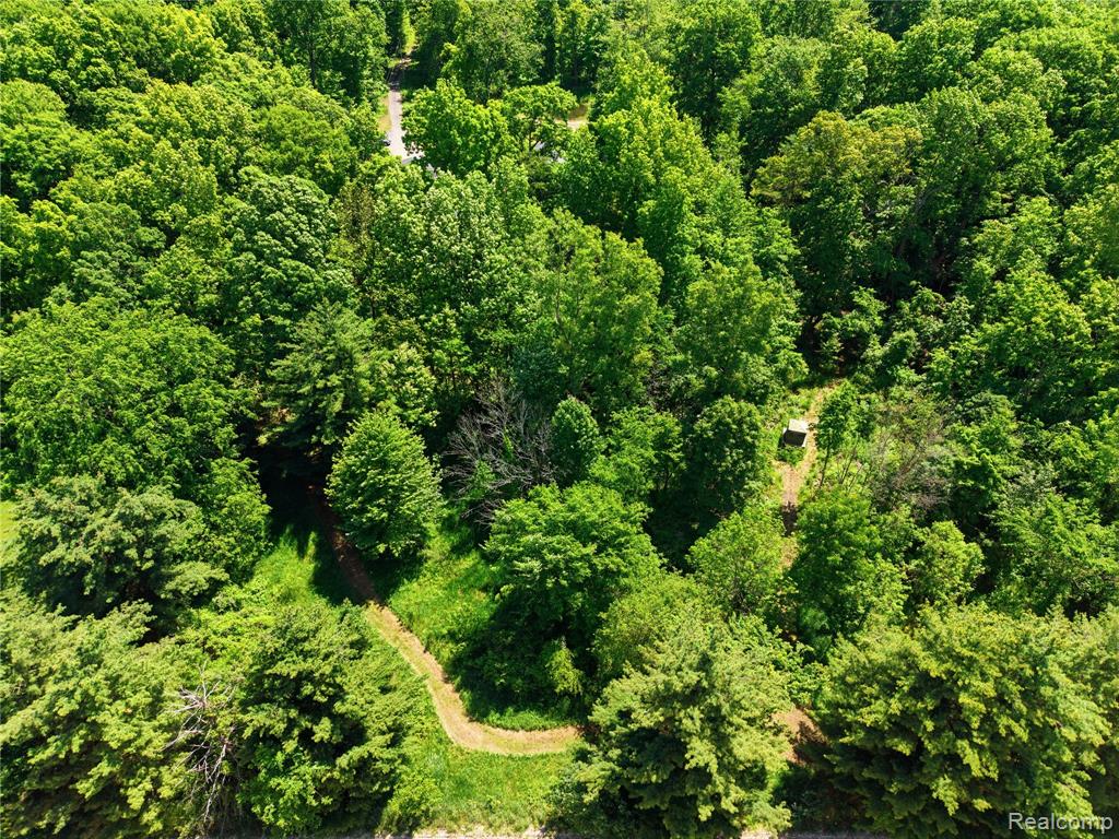 14830 County Line Road, Byron, MI 48418 — Photo 69