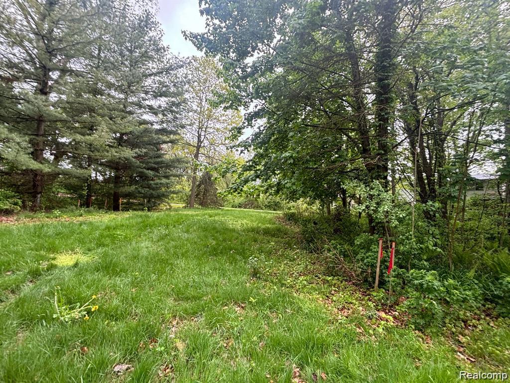 5961 woodmire, Shelby Twp, MI 48316 — Photo 2