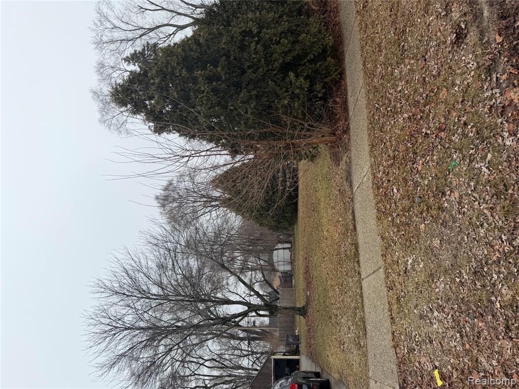 Lot #34 E Madge, Hazel Park, MI 48030 — Photo 2