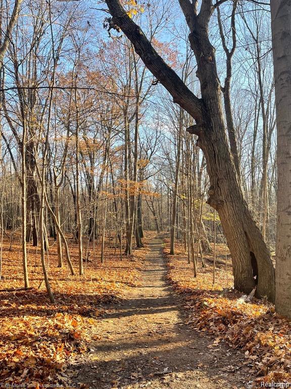 2260 Rock Valley Road, Metamora, MI 48455 — Photo 52