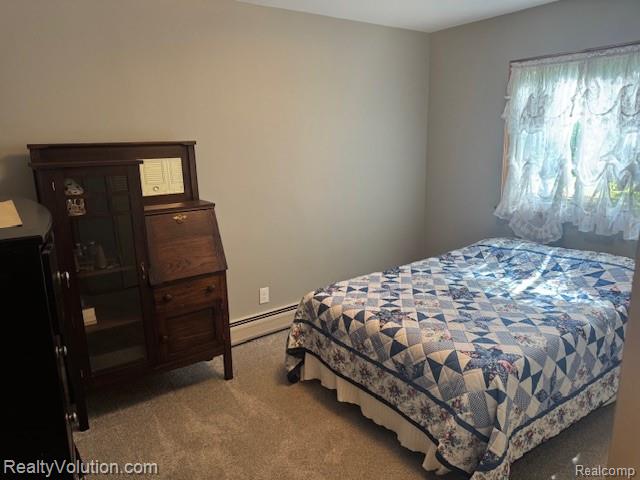 1702 Birch Road, Attica, MI 48412 — Photo 26