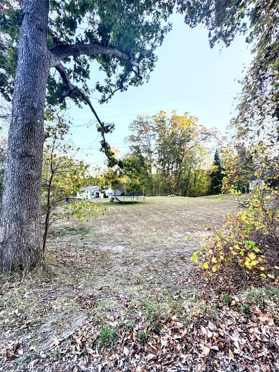 11197 Bigelow Road, Davisburg, MI 48350 — Photo 15
