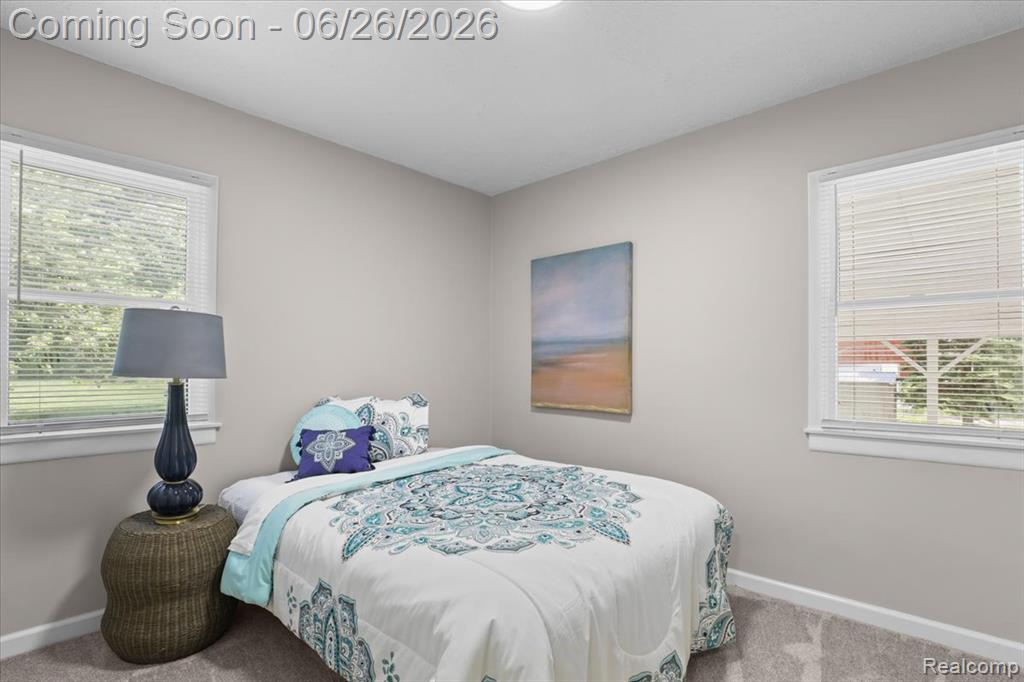 43600 Crowley Road, Belleville, MI 48111 — Photo 19