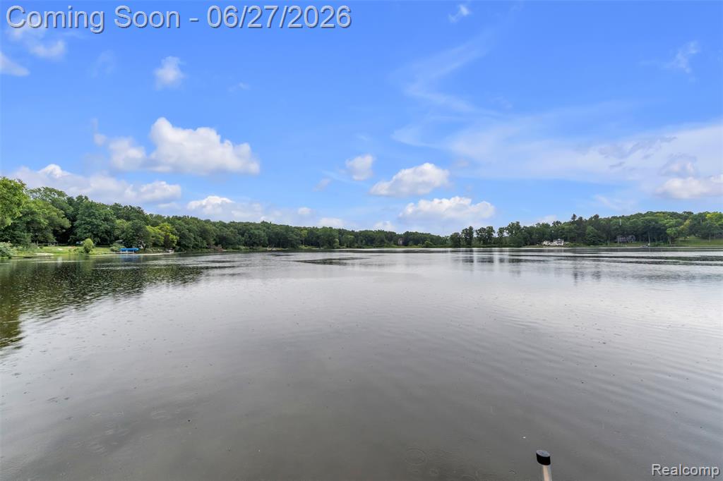 2276 Webster Park Drive, Howell, MI 48843 — Photo 73