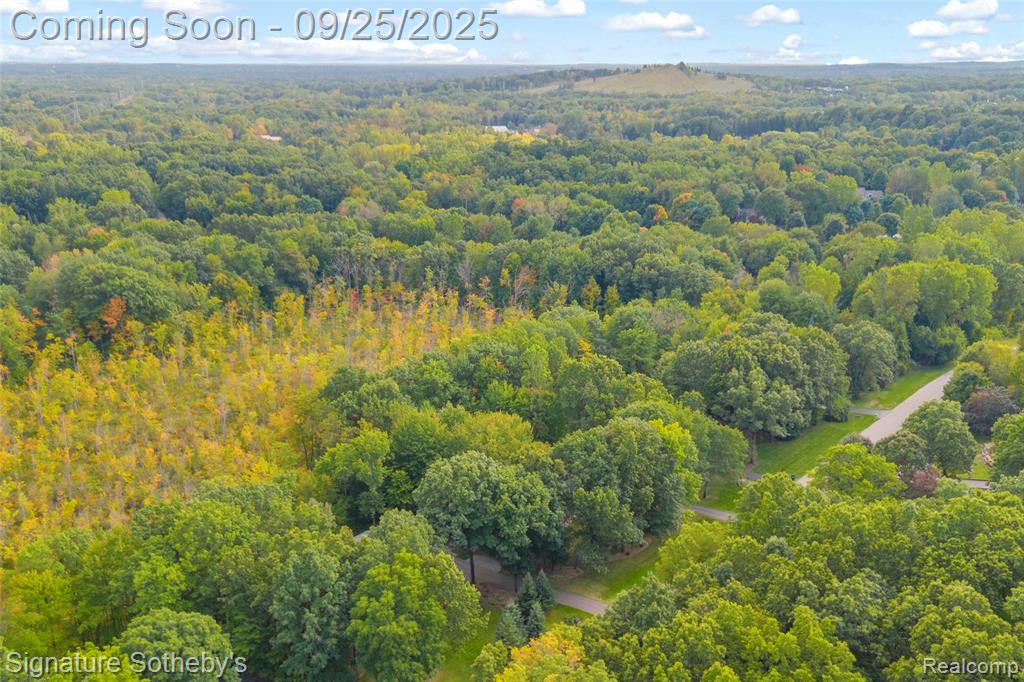 5226 Forest Valley Drive, Clarkston, MI 48348 — Photo 41