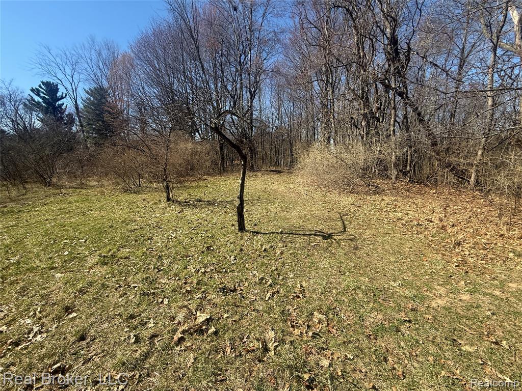1802 N Elba Road, Lapeer, MI 48446 — Photo 53