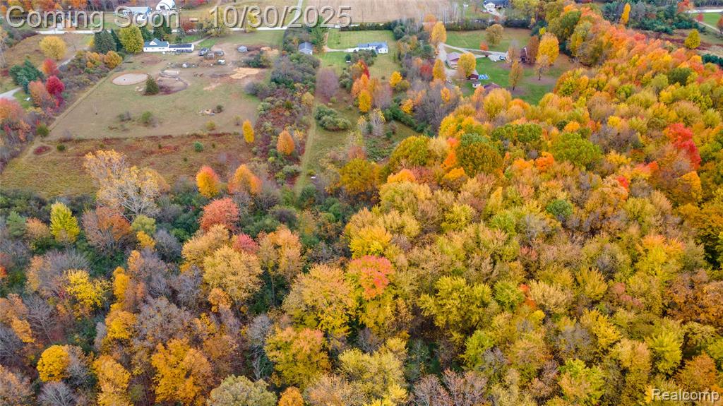7777 Jordan Road, Yale, MI 48097 — Photo 53