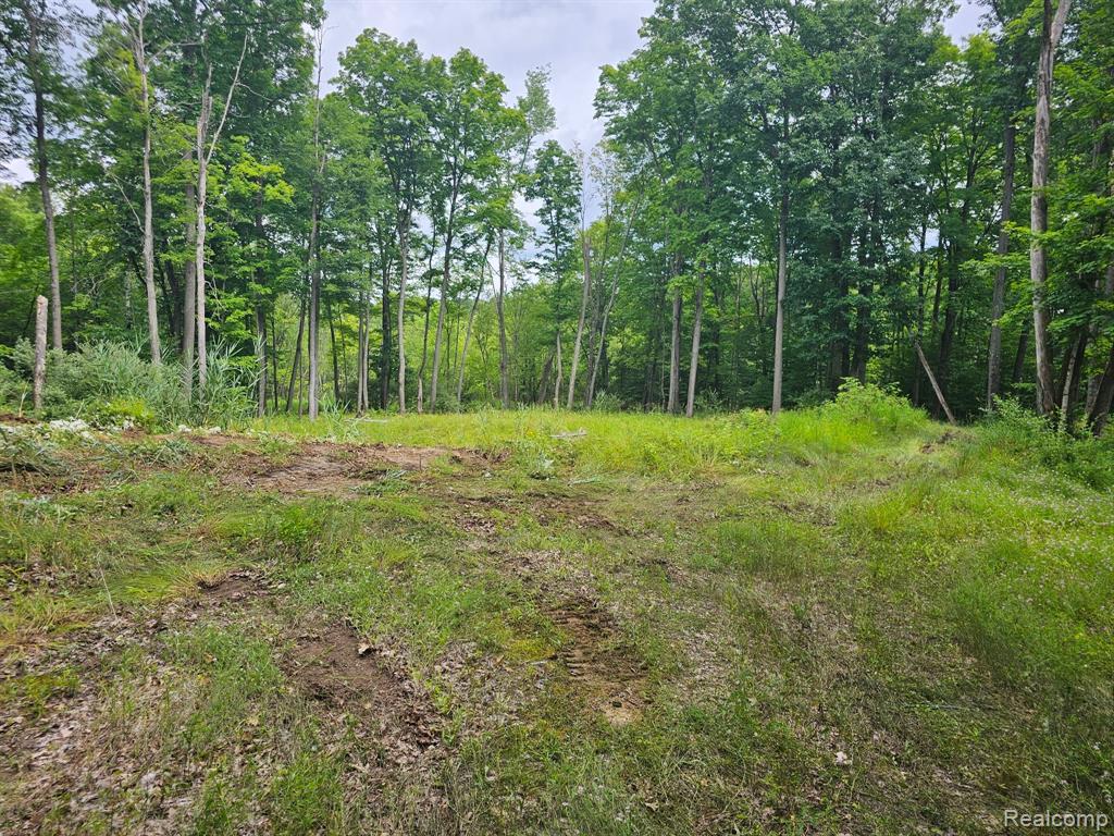 8600 Eagle Road, Holly, MI — Photo 2
